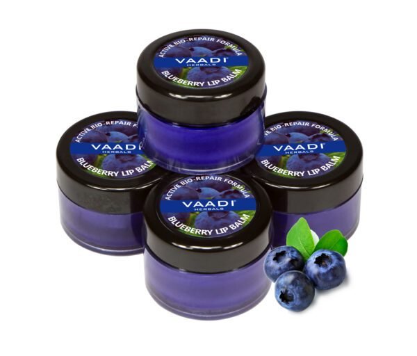 Lip Balm - Blueberry (10 gms x 4)