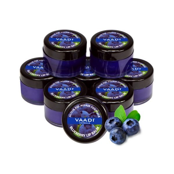 Lip Balm - Blueberry (10 gms x 8)