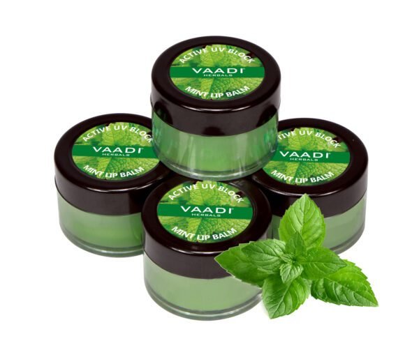 Lip Balm - Mint (10 gms x 4)
