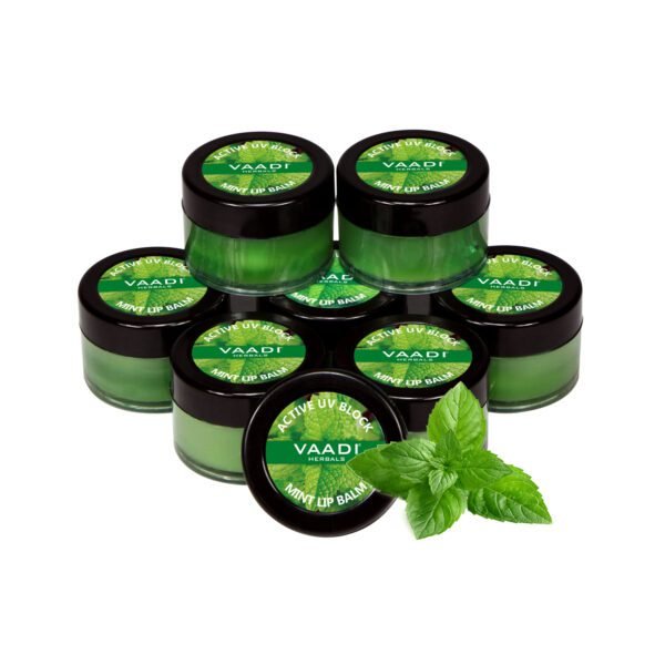 Lip Balm - Mint (10 gms x 8)
