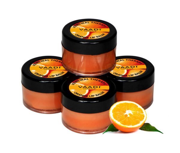 Lip Balm - Orange & Shea Butter (10 gms x 4)