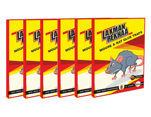 Laxman Rekhaa Mouse Rat Glue Traps - Pack of 6 Rat Glue Pad